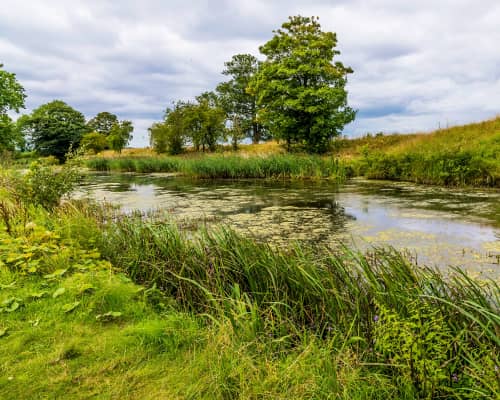 estate agents oundle