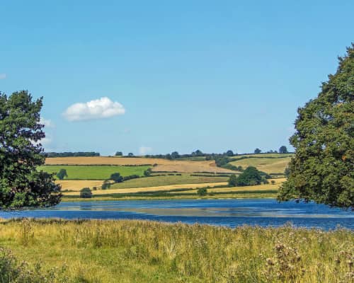 letting agents uppingham