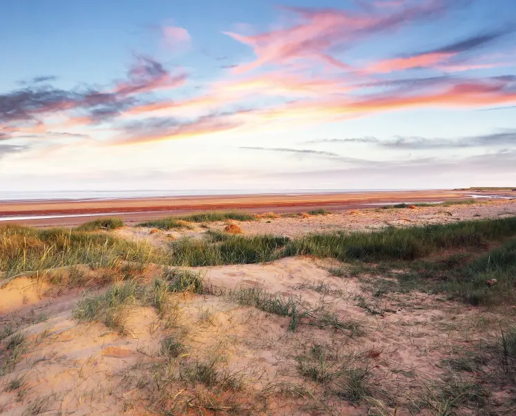 rural estate agency lincolnshire