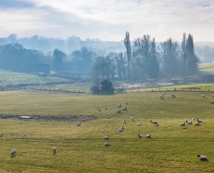 rural land agency east midlands